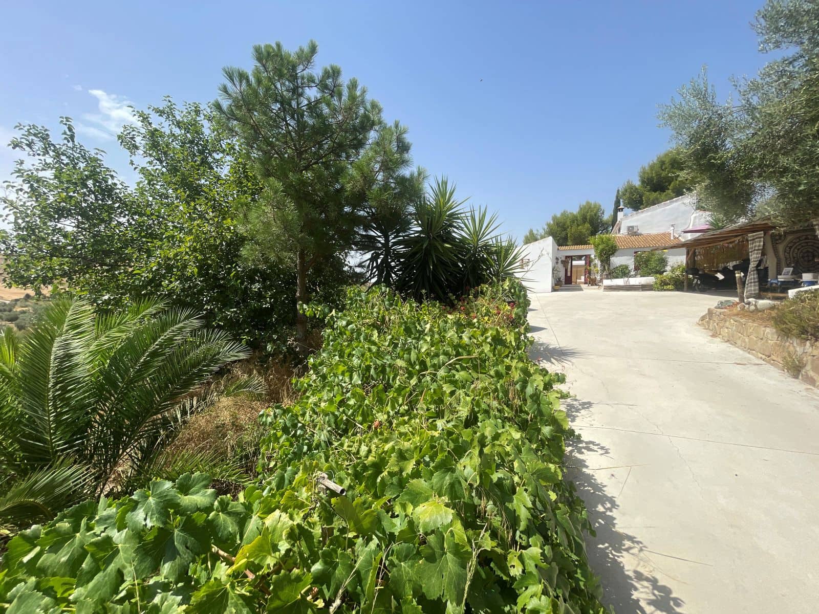 7 camera da letto Affittacamere/B & B in vendita in Villanueva de la Concepcion con piscina garage - 849.000 € (Rif: 10031068)