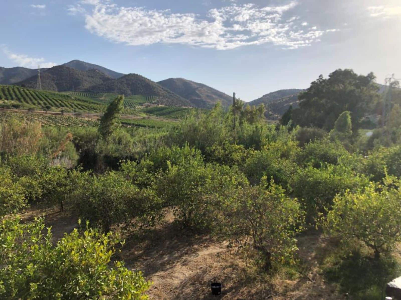 5 soverom Finca/Herregård til salgs i Alora med svømmebasseng garasje - € 400 000 (Ref: 8421866)