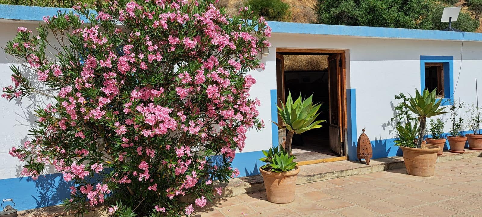 5 soveværelse Guesthouse/B & B til salg i Alora med swimmingpool garage - € 549.000 (Ref: 9097047)