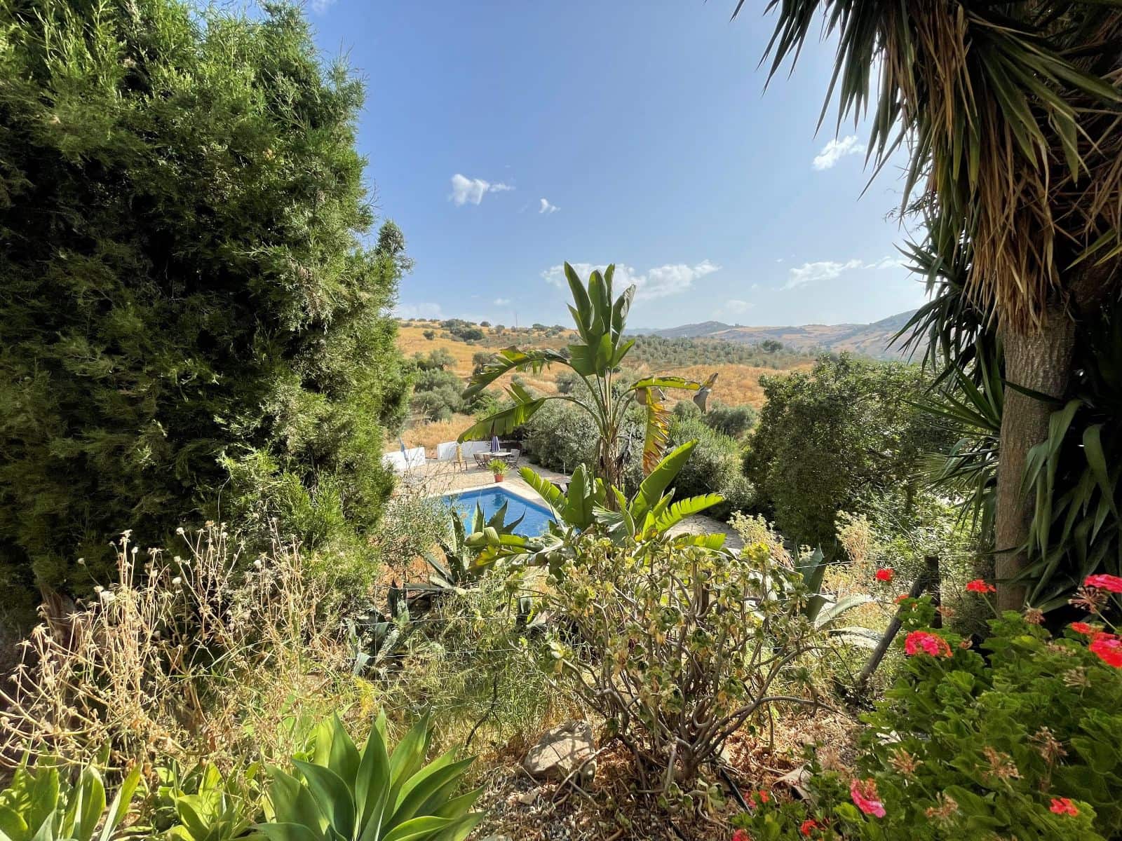 5 soveværelse Guesthouse/B & B til salg i Alora med swimmingpool garage - € 549.000 (Ref: 9097047)