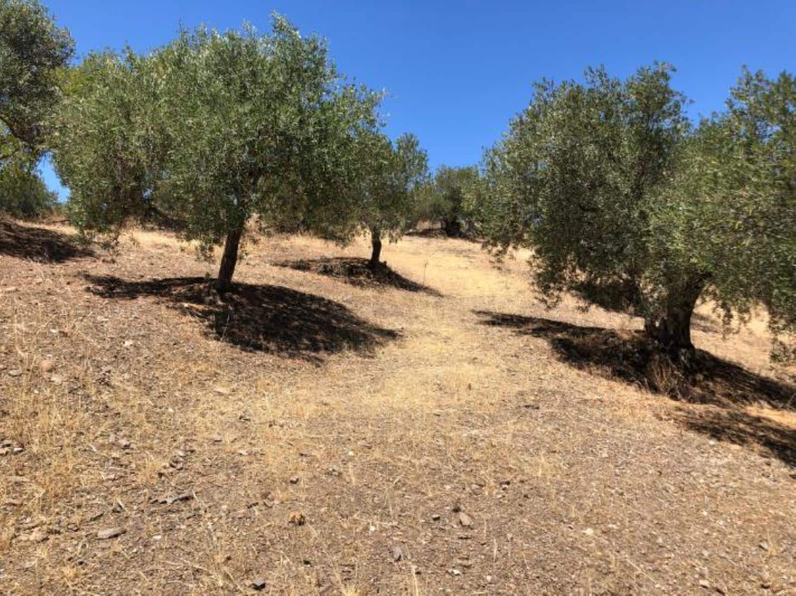 2 soverom Finca/Herregård til salgs i Alora med garasje - € 265 000 (Ref: 9099809)