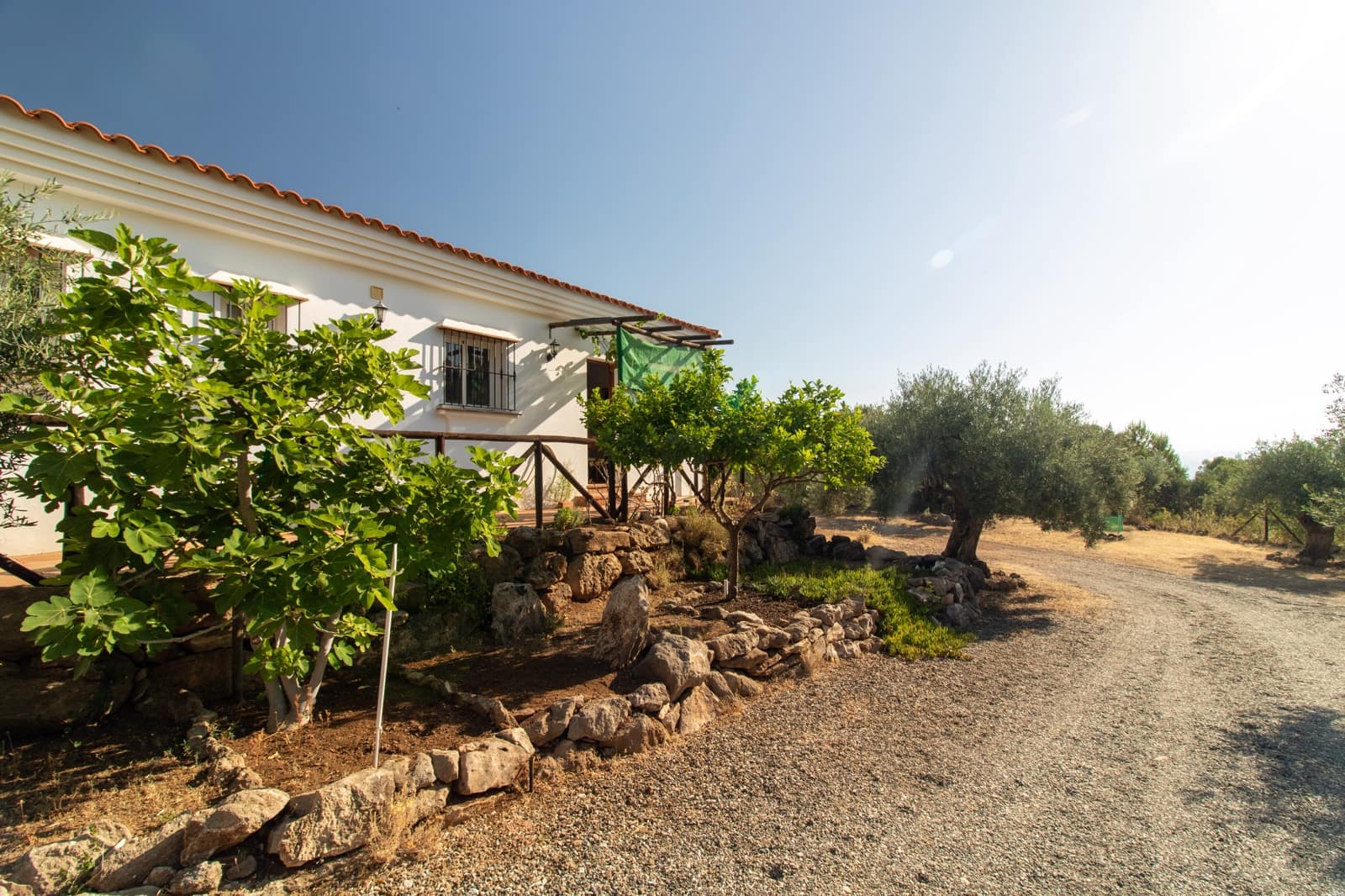 3 sypialnia Finka/Dom wiejski na sprzedaż w Alora - 395 000 € (Ref: 9186206)