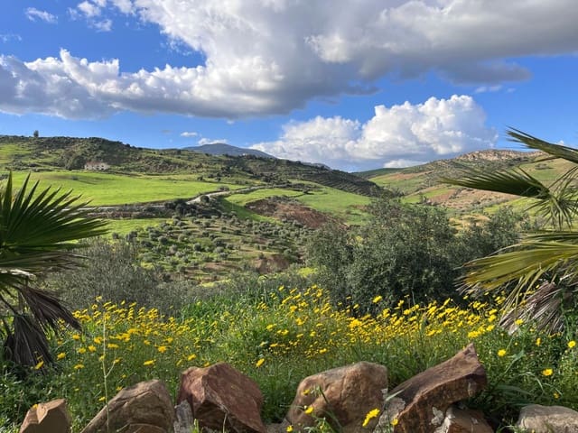 3 sypialnia Finka/Dom wiejski na sprzedaż w Alora - 315 000 € (Ref: 9345224)