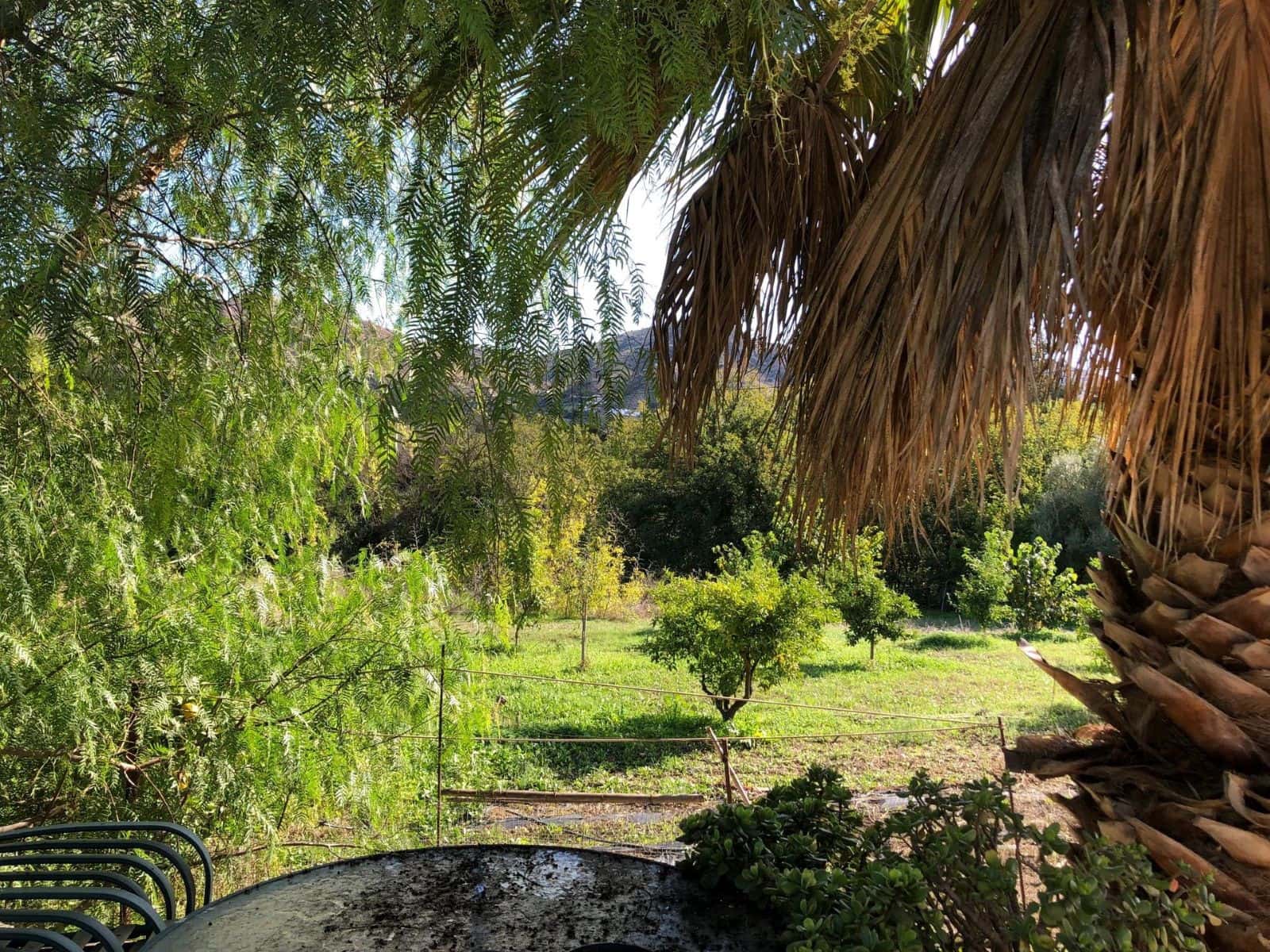 3 Zimmer Finca/Landgut zu verkaufen in Alora - 390.000 € (Ref: 9462599)