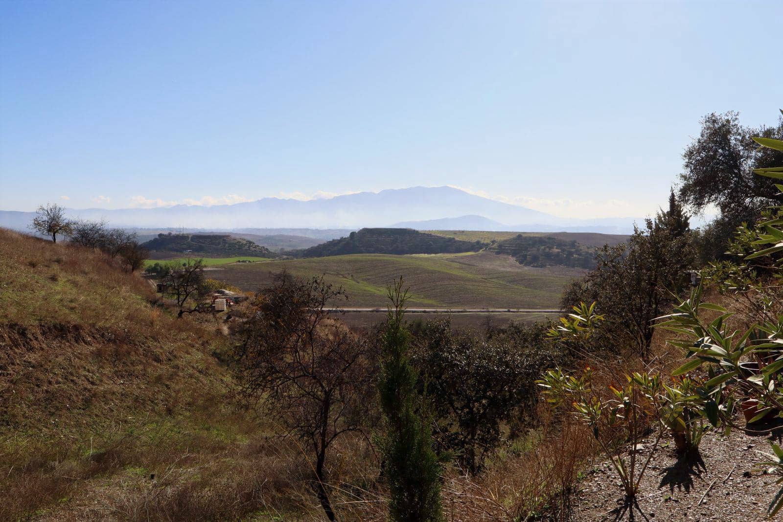 Finca/Casa Rural de 3 habitaciones en Cártama en venta con piscina garaje - 629.000 € (Ref: 9464959)