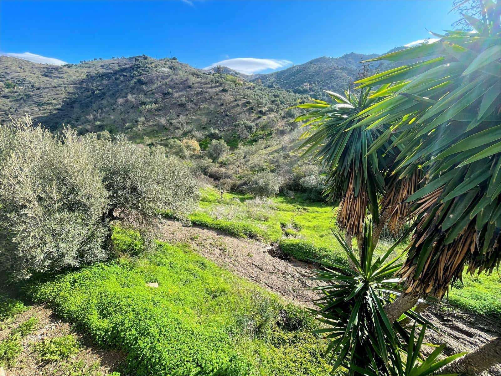 6 soverom Finca/Herregård til salgs i Alora med svømmebasseng garasje - € 499 000 (Ref: 9534116)