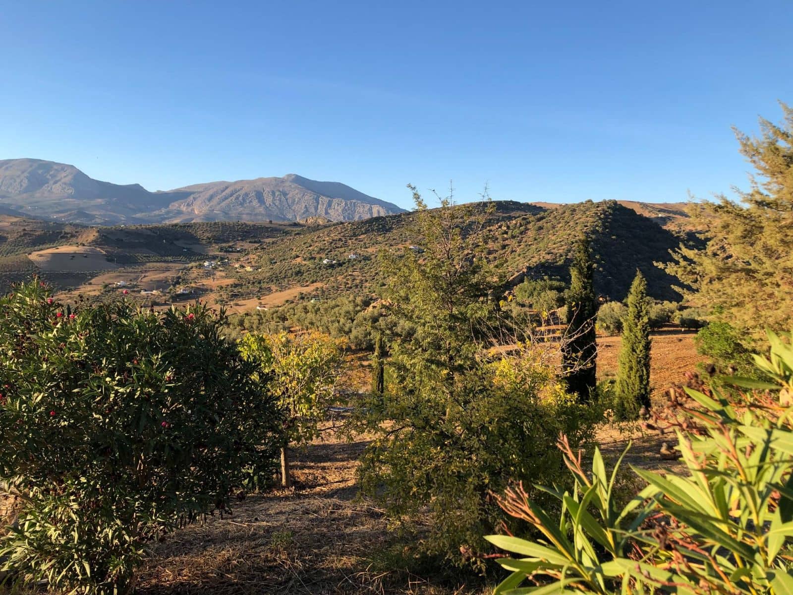 2 soveværelse Finca/Landehus til salg i Alora - € 250.000 (Ref: 9730755)