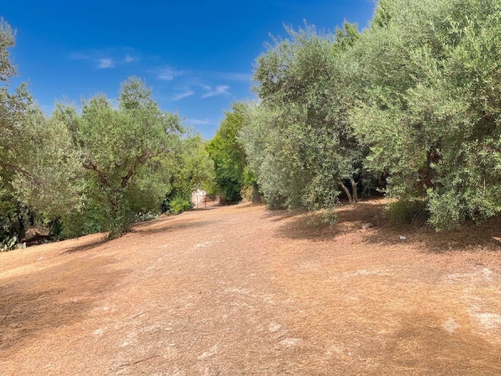 4 bedroom Finca/Country House for sale in Villanueva de la Concepcion with pool garage - € 249,000 (Ref: 9973899)