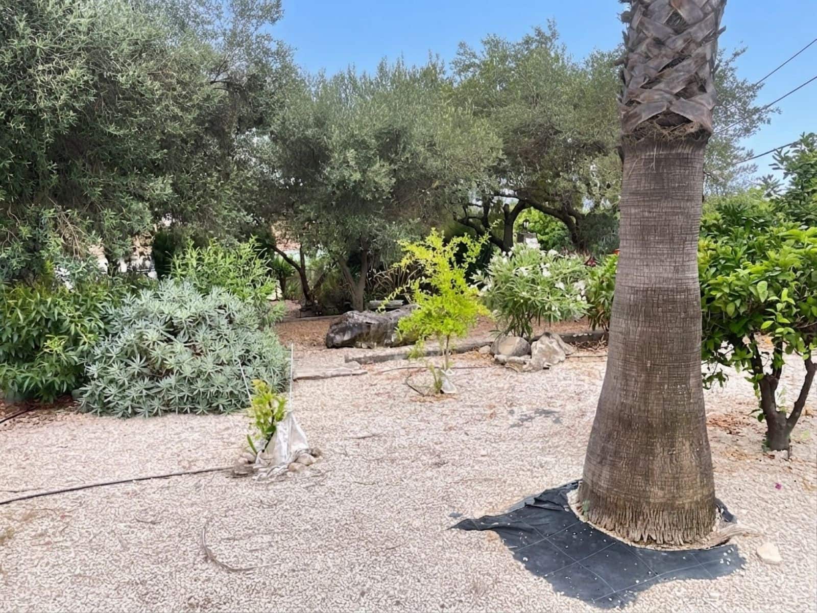4 bedroom Finca/Country House for sale in Villanueva de la Concepcion with pool garage - € 249,000 (Ref: 9973899)