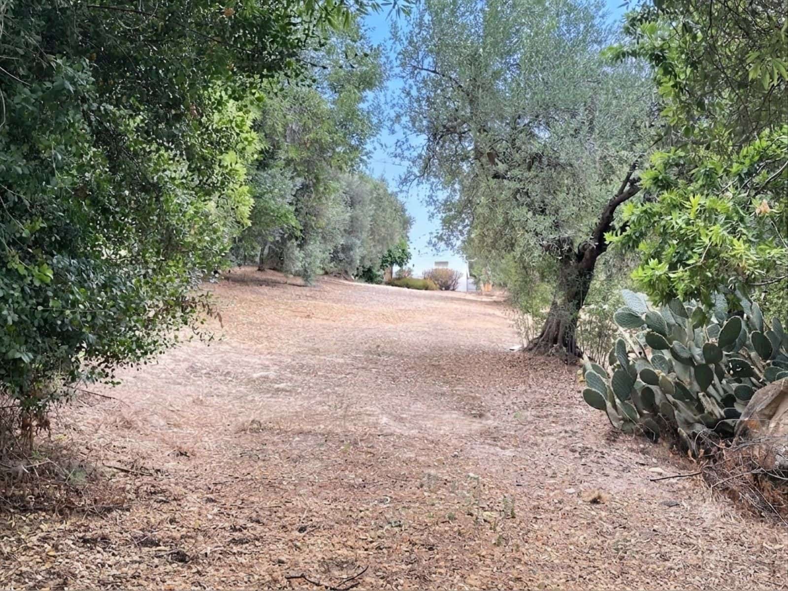4 bedroom Finca/Country House for sale in Villanueva de la Concepcion with pool garage - € 249,000 (Ref: 9973899)