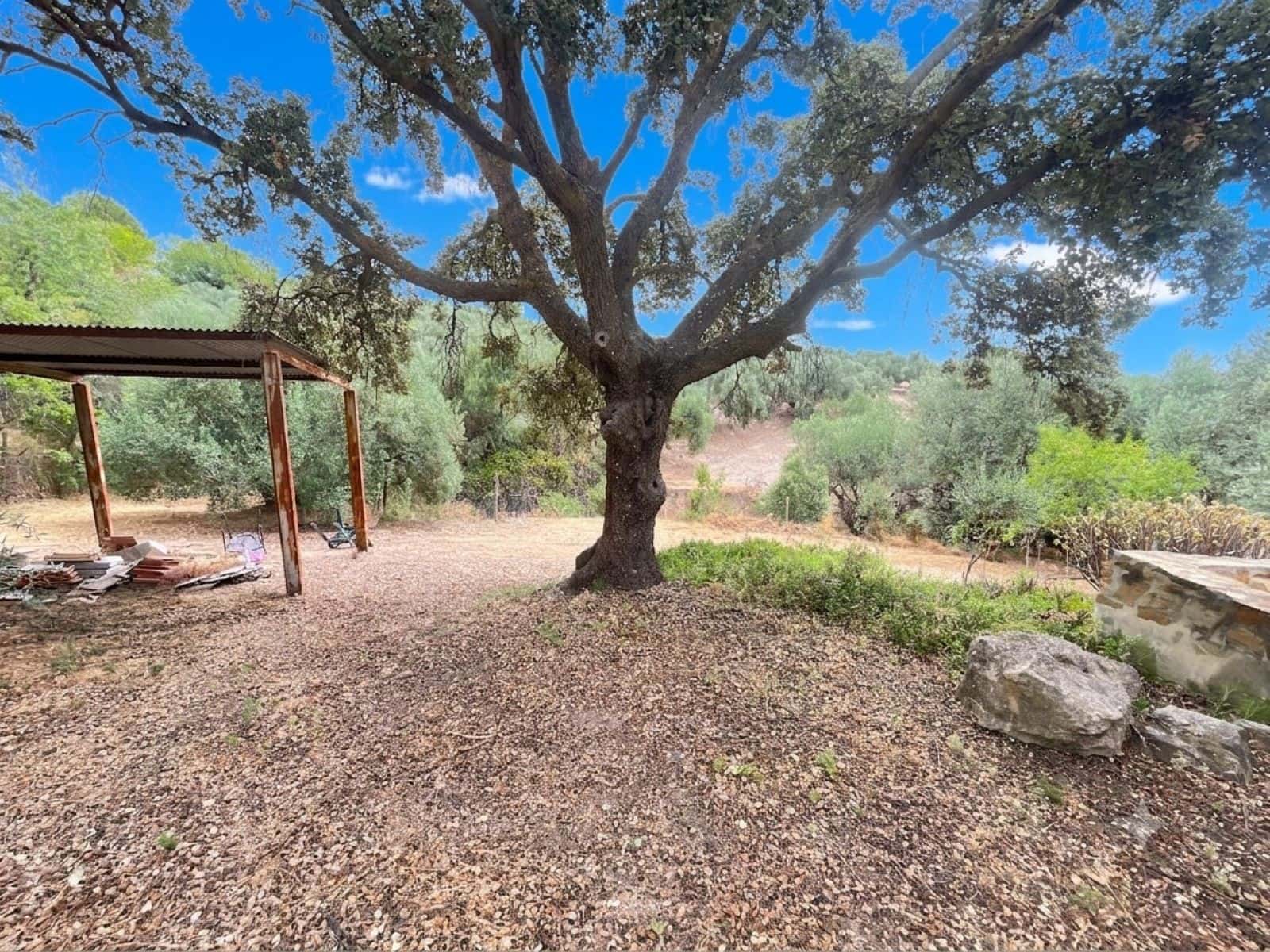 4 bedroom Finca/Country House for sale in Villanueva de la Concepcion with pool garage - € 249,000 (Ref: 9973899)