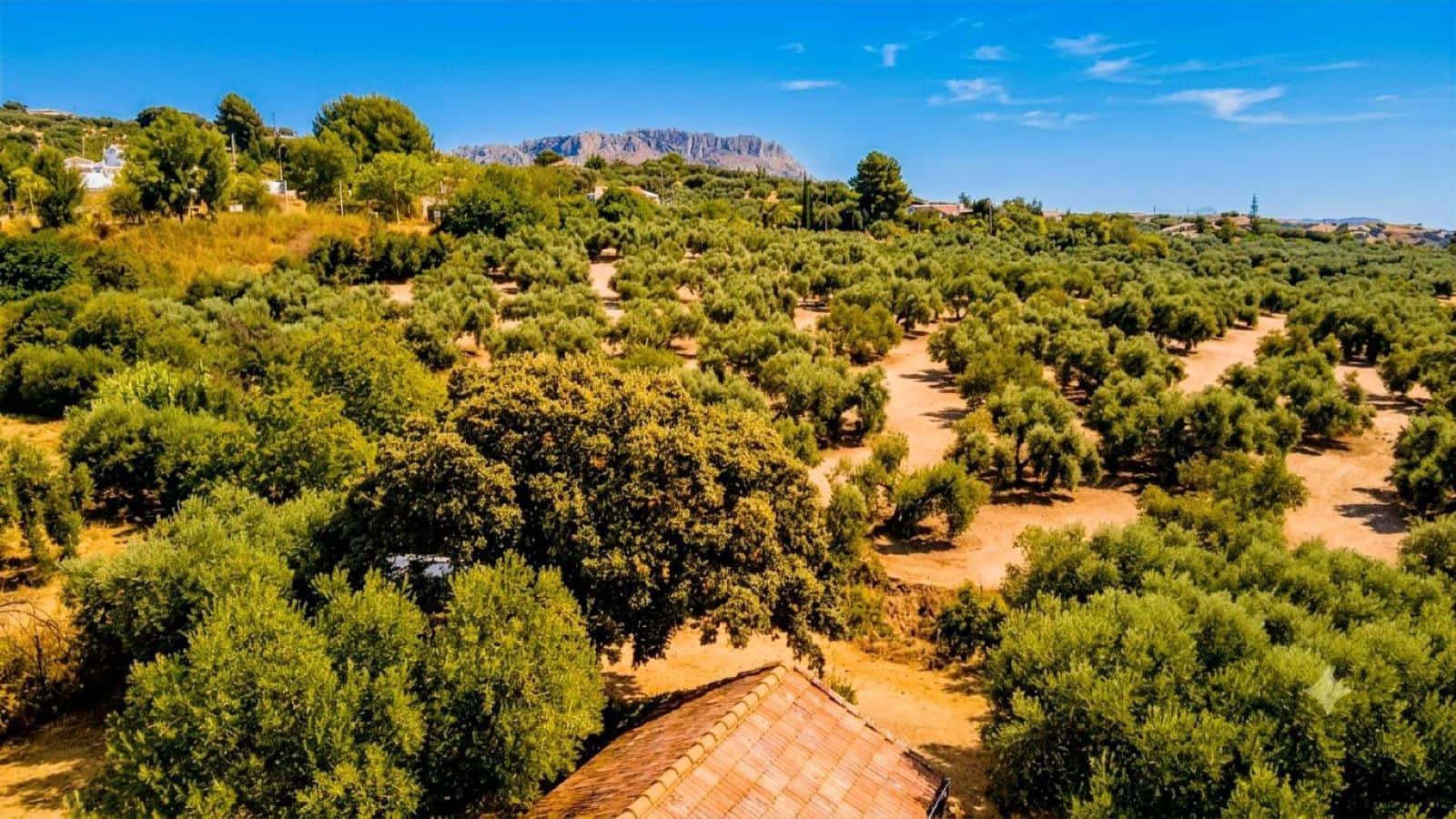 4 bedroom Finca/Country House for sale in Villanueva de la Concepcion with pool garage - € 249,000 (Ref: 9973899)