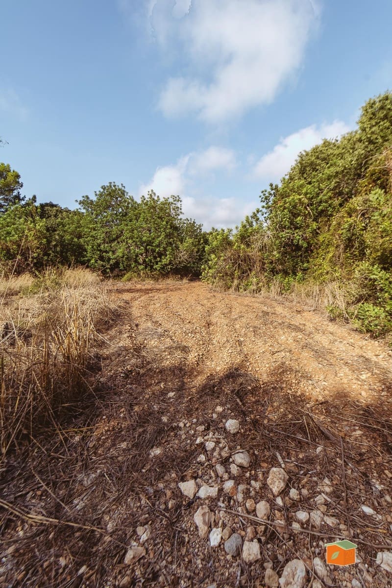 Landgrundstück zu verkaufen in Santa Barbara - 26.000 € (Ref: 10076584)