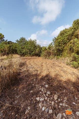 Landgrundstück zu verkaufen in Santa Bàrbara - 26.000 € (Ref: 10076584)