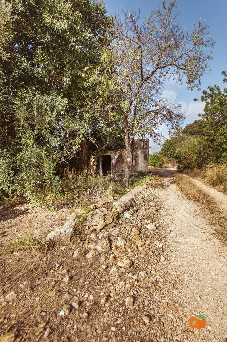 Landgrundstück zu verkaufen in Santa Barbara - 26.000 € (Ref: 10076584)