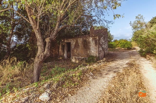 Landgrundstück zu verkaufen in Santa Bàrbara - 26.000 € (Ref: 10076584)