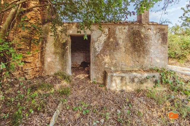 Landgrundstück zu verkaufen in Santa Bàrbara - 26.000 € (Ref: 10076584)
