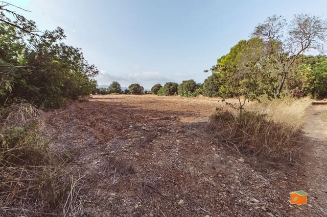 Landgrundstück zu verkaufen in Santa Bàrbara - 26.000 € (Ref: 10076584)