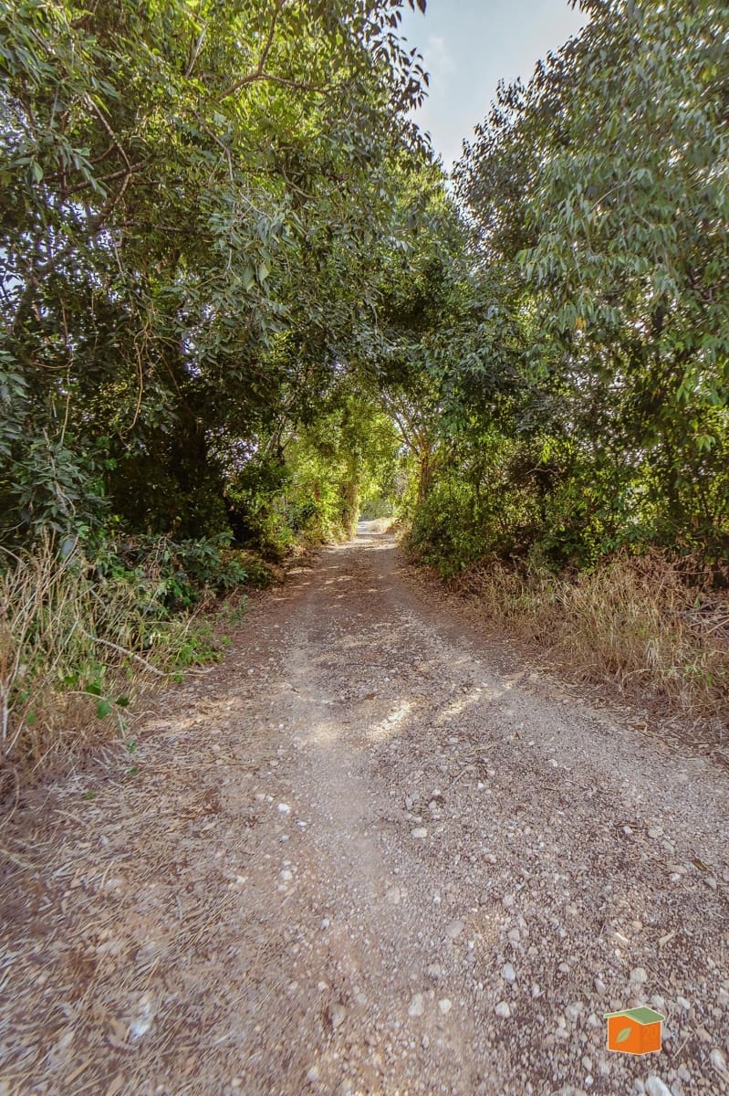 Landgrundstück zu verkaufen in Santa Barbara - 26.000 € (Ref: 10076584)