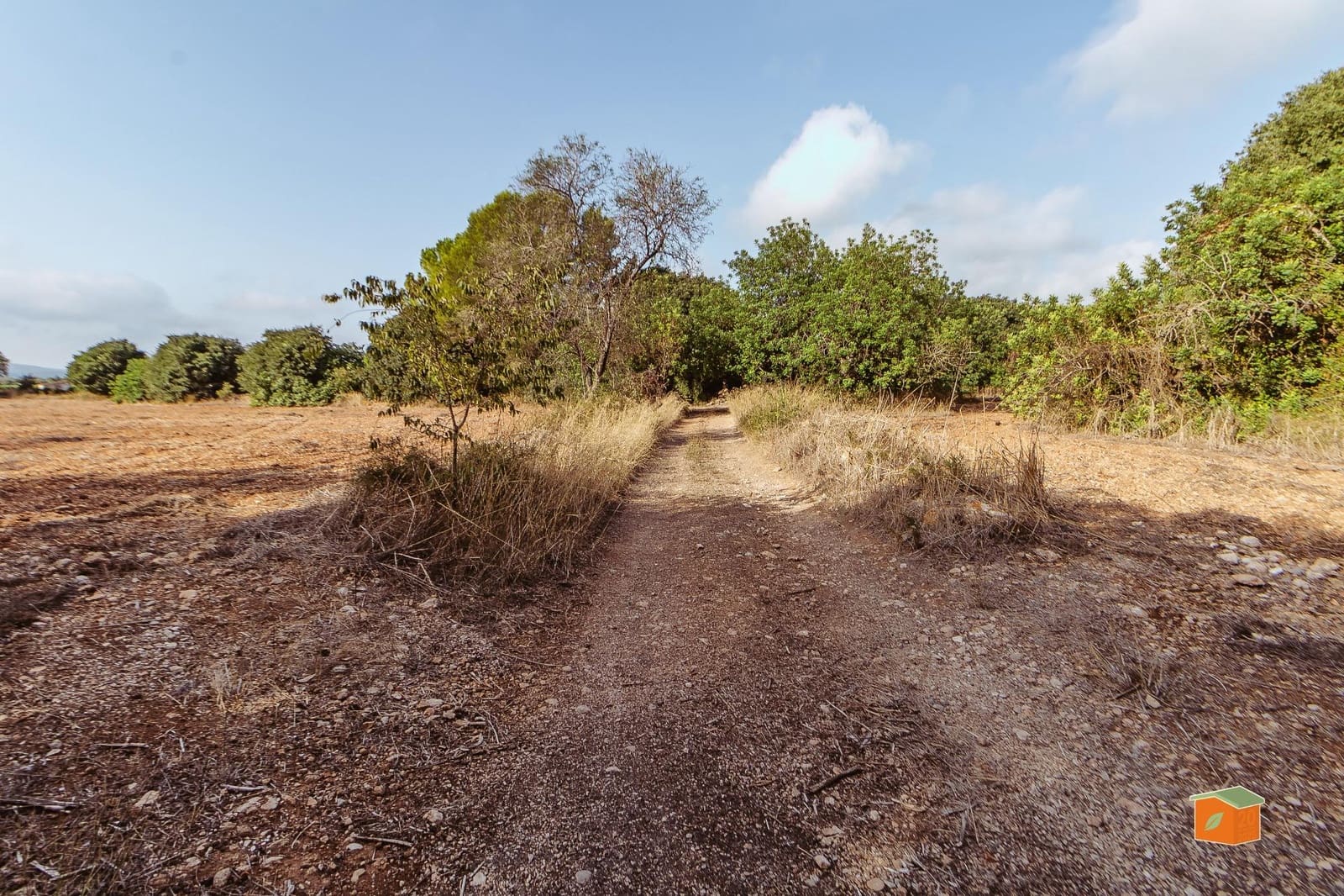 Landgrundstück zu verkaufen in Santa Barbara - 26.000 € (Ref: 10076584)