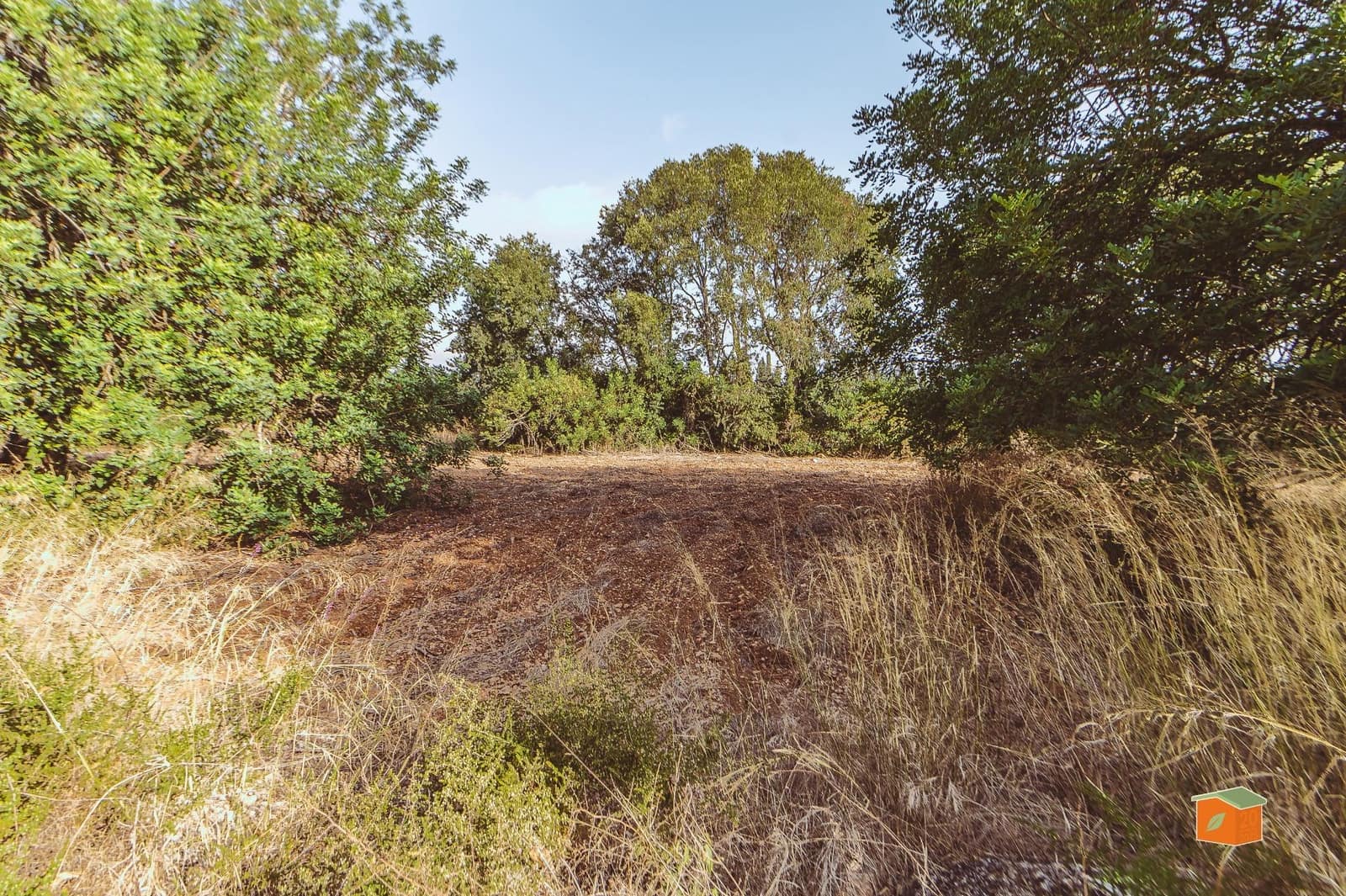 Landgrundstück zu verkaufen in Santa Barbara - 26.000 € (Ref: 10076584)