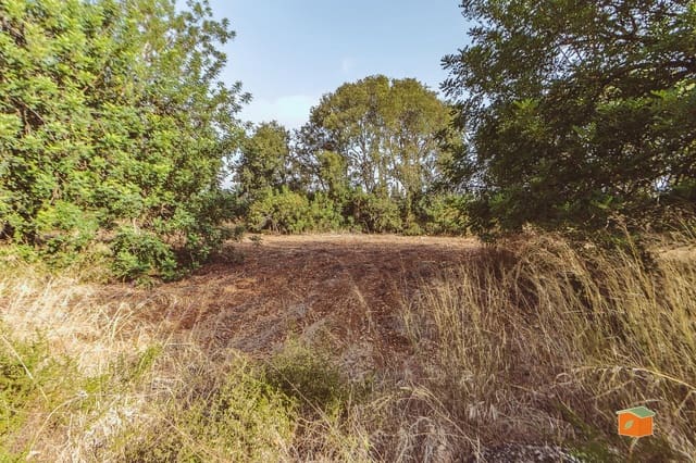 Landgrundstück zu verkaufen in Santa Bàrbara - 26.000 € (Ref: 10076584)