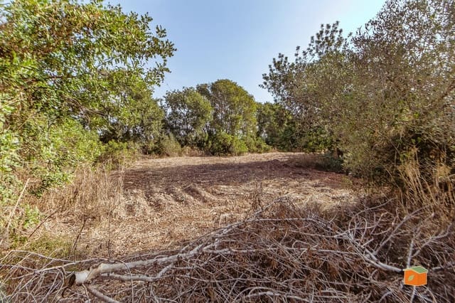 Landgrundstück zu verkaufen in Santa Bàrbara - 26.000 € (Ref: 10076584)