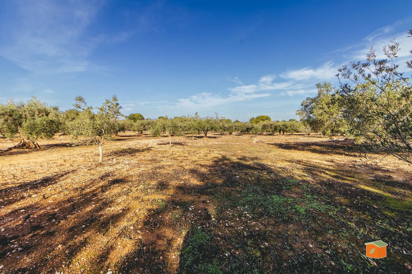 Finca/Herregård til salgs i Masdenverge - € 59 000 (Ref: 10173843)