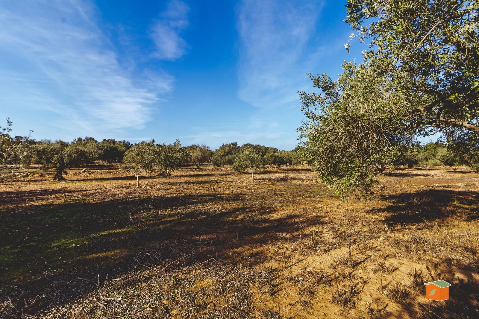 Finca/Herregård til salgs i Masdenverge - € 59 000 (Ref: 10173843)