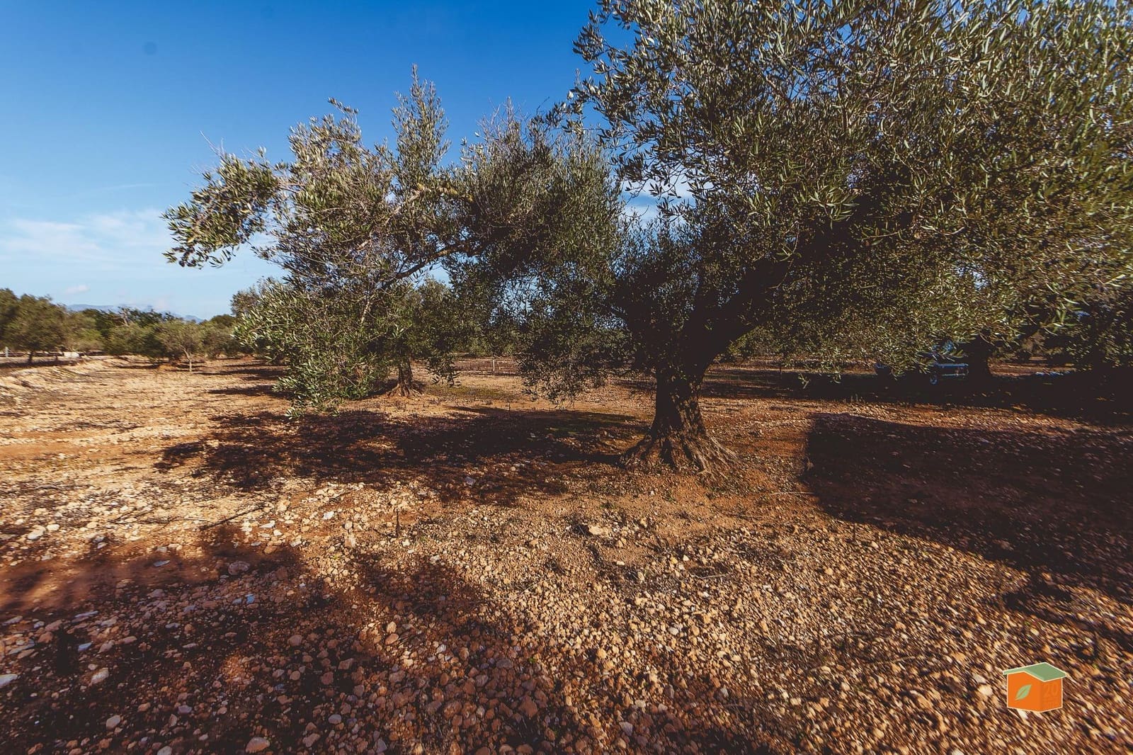 Finca/Herregård til salgs i Masdenverge - € 59 000 (Ref: 10173843)