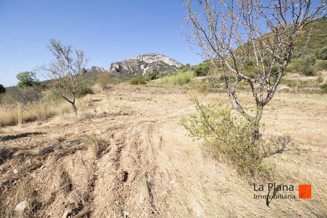 4 soveværelse Rækkehus til salg i Mas de Barberans - € 135.000 (Ref: 7510451)