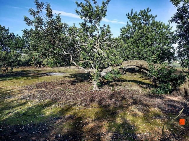 1 sypialnia Finka/Dom wiejski na sprzedaż w Amposta - 49 900 € (Ref: 7510468)