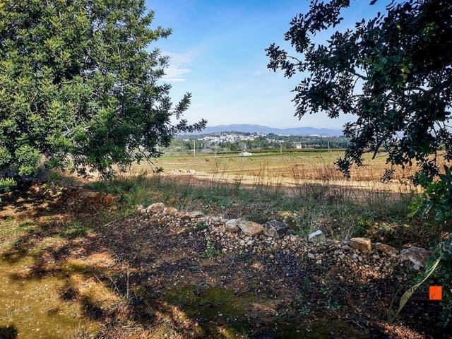 1 sypialnia Finka/Dom wiejski na sprzedaż w Amposta - 49 900 € (Ref: 7510468)