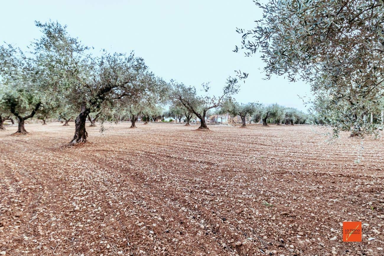 3 quarto Quinta/Casa Rural para venda em Freginals com piscina - 109 000 € (Ref: 7510499)