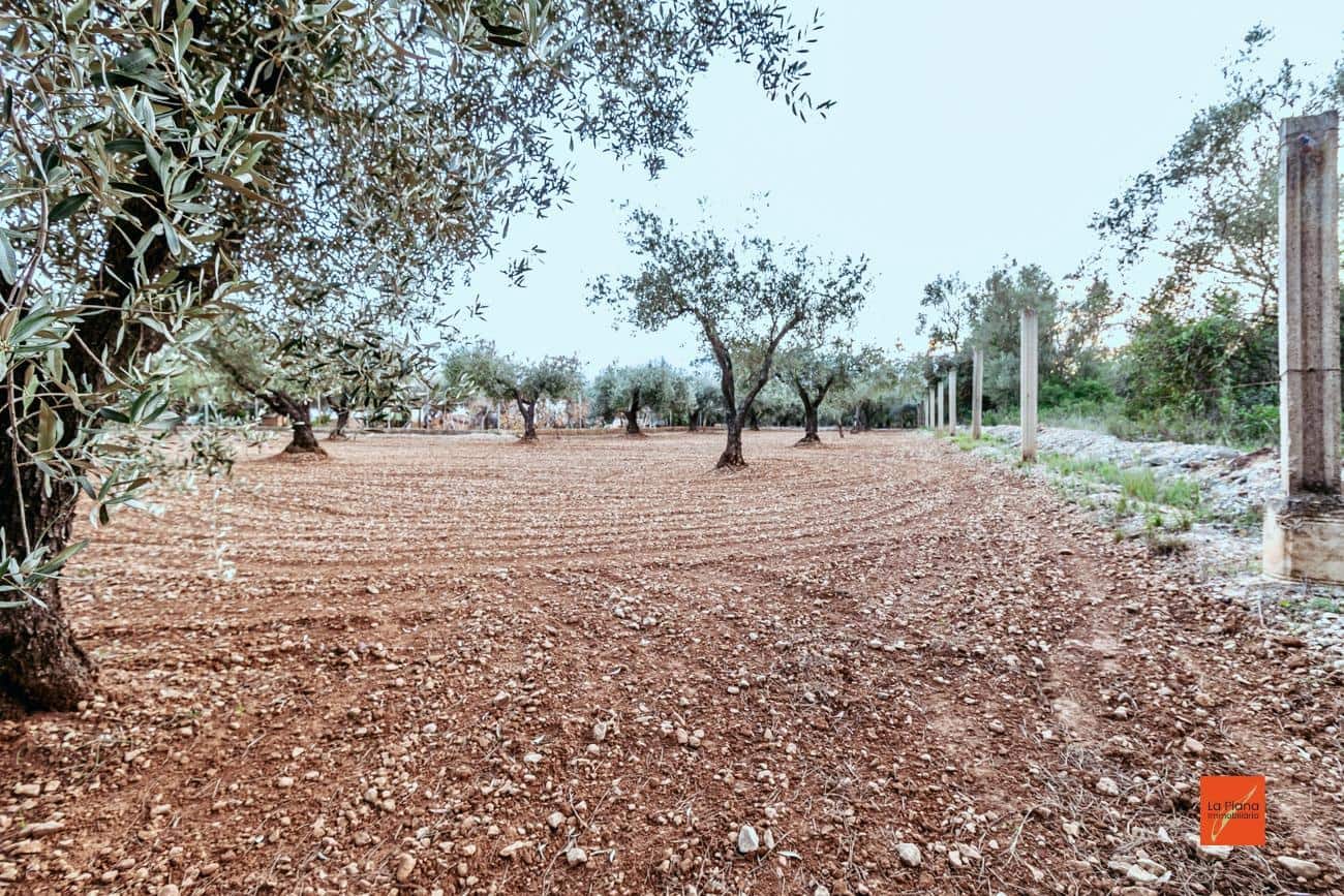 3 quarto Quinta/Casa Rural para venda em Freginals com piscina - 109 000 € (Ref: 7510499)