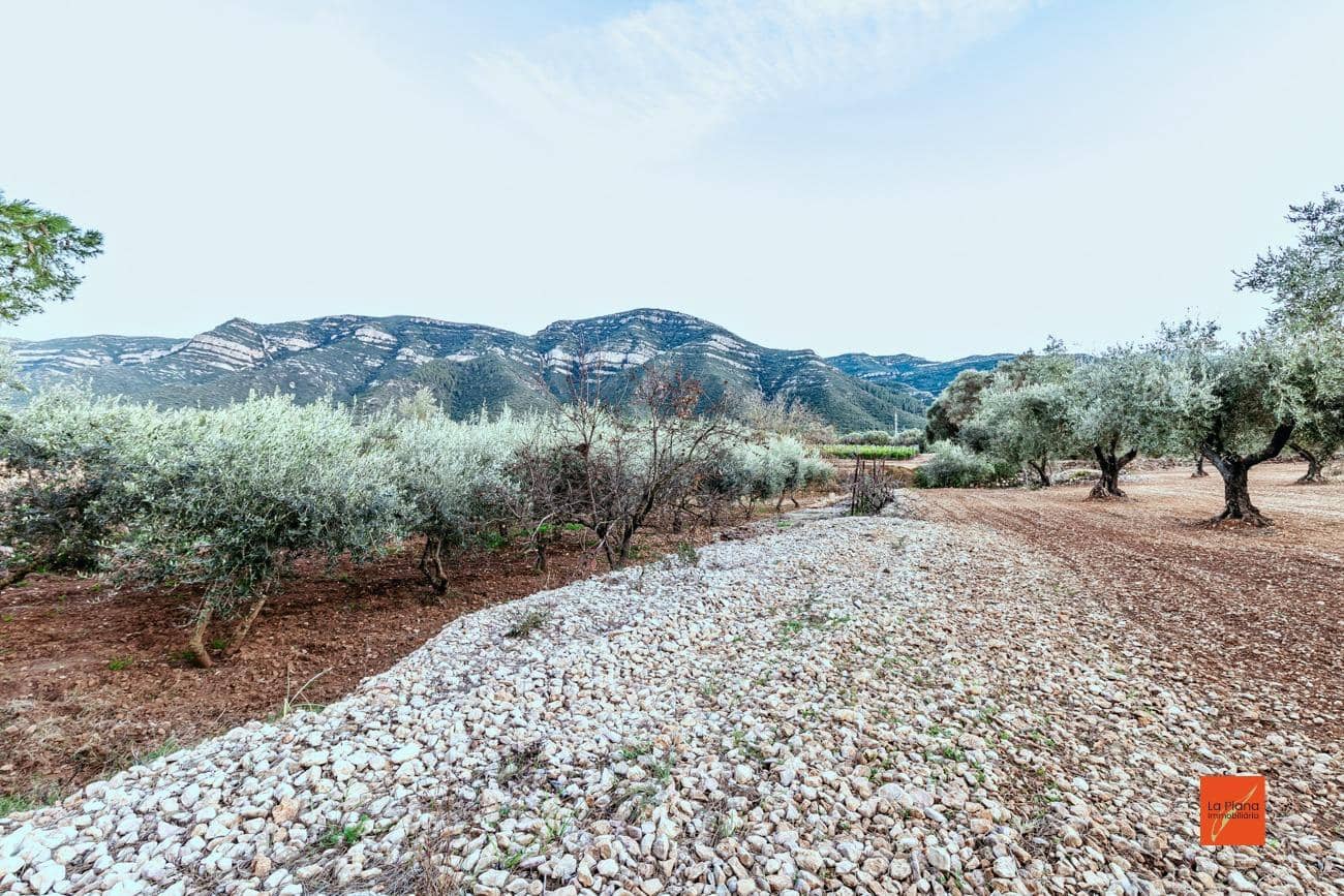 3 quarto Quinta/Casa Rural para venda em Freginals com piscina - 109 000 € (Ref: 7510499)