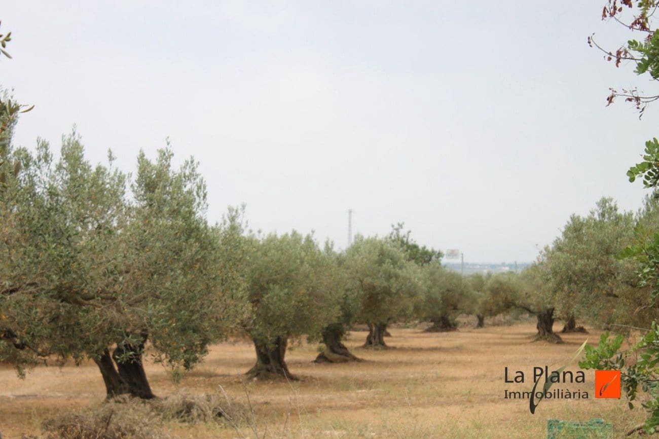 Finca/Landehus til salg i L'Aldea - € 125.000 (Ref: 7510503)