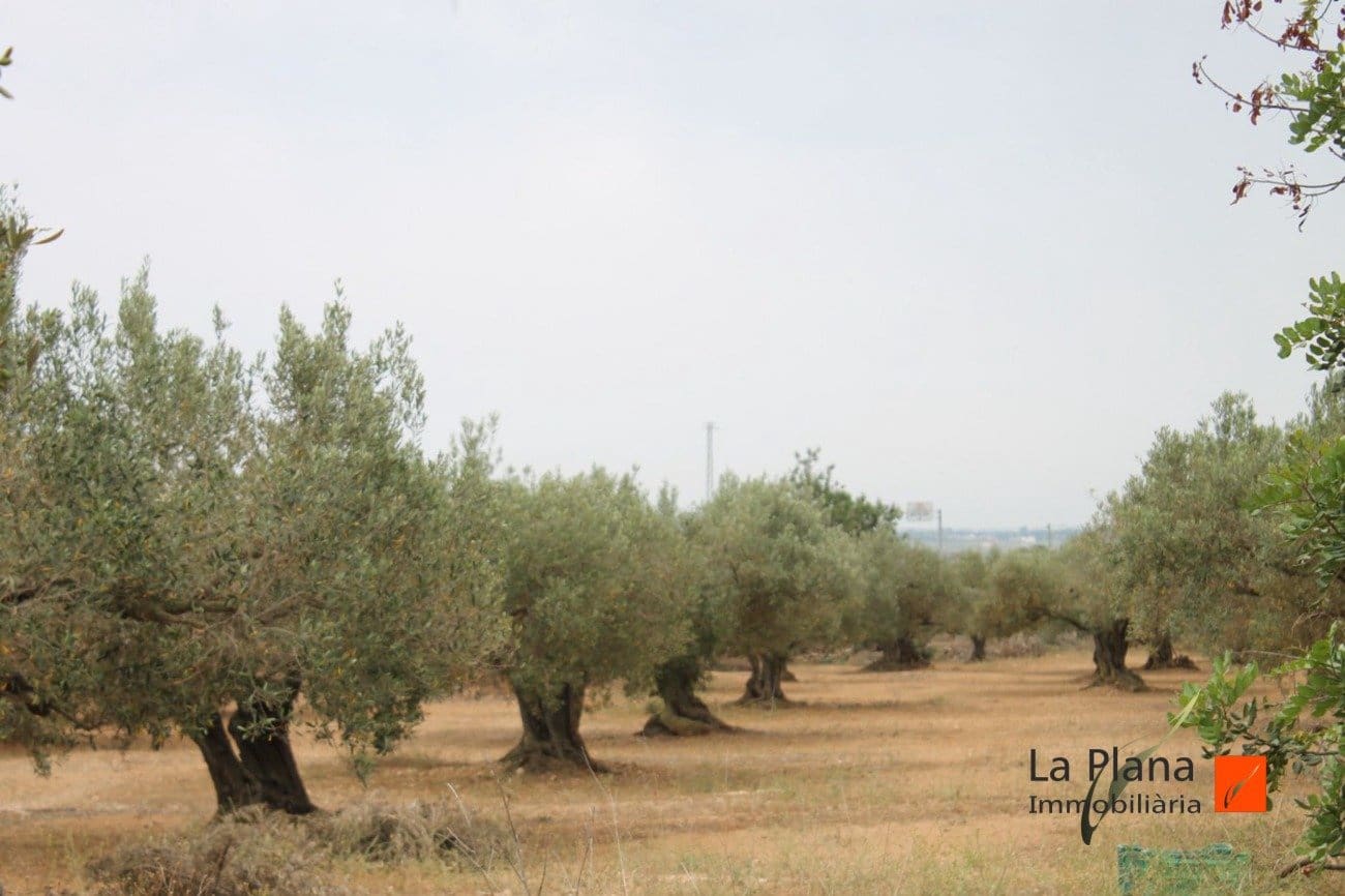 Finca/Landehus til salg i L'Aldea - € 125.000 (Ref: 7510503)