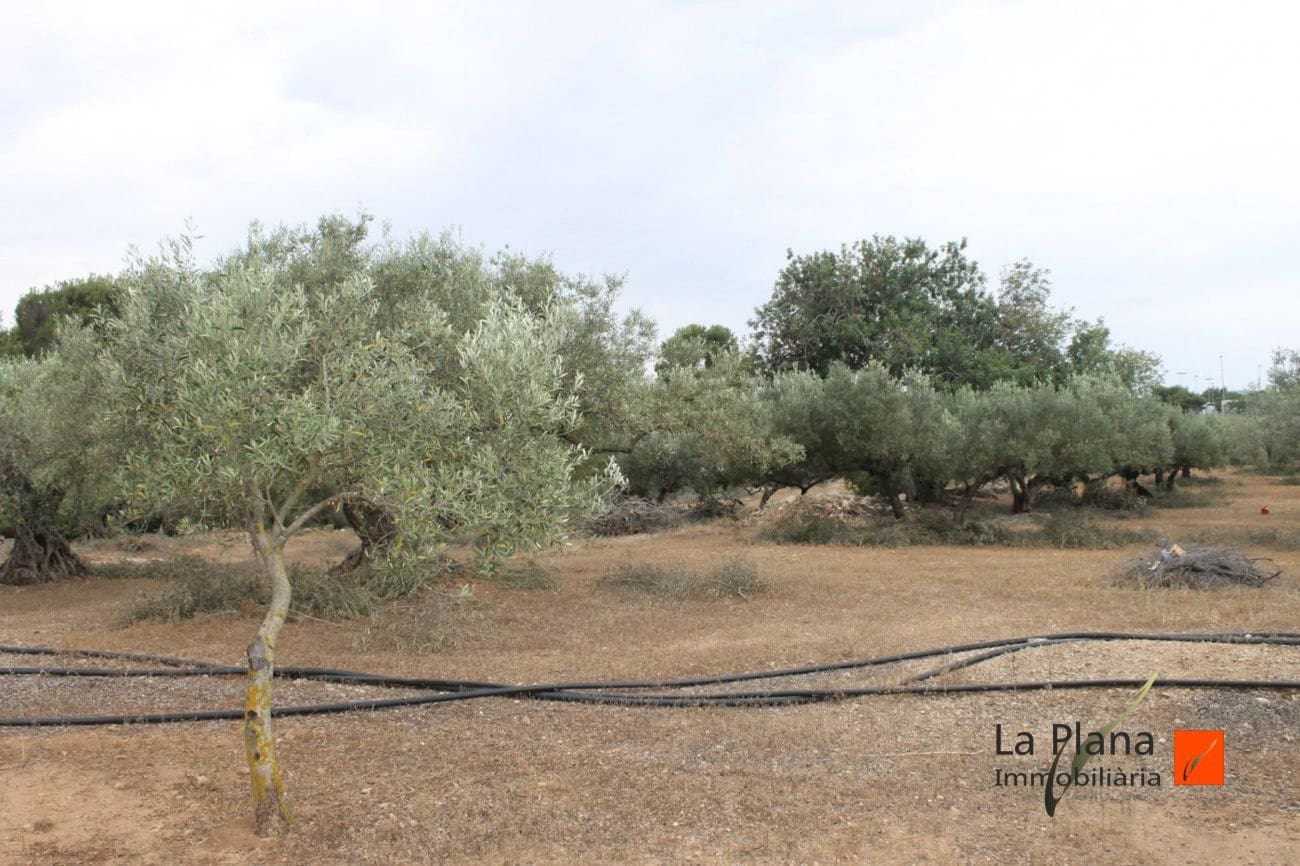 Finca/Landehus til salg i L'Aldea - € 125.000 (Ref: 7510503)