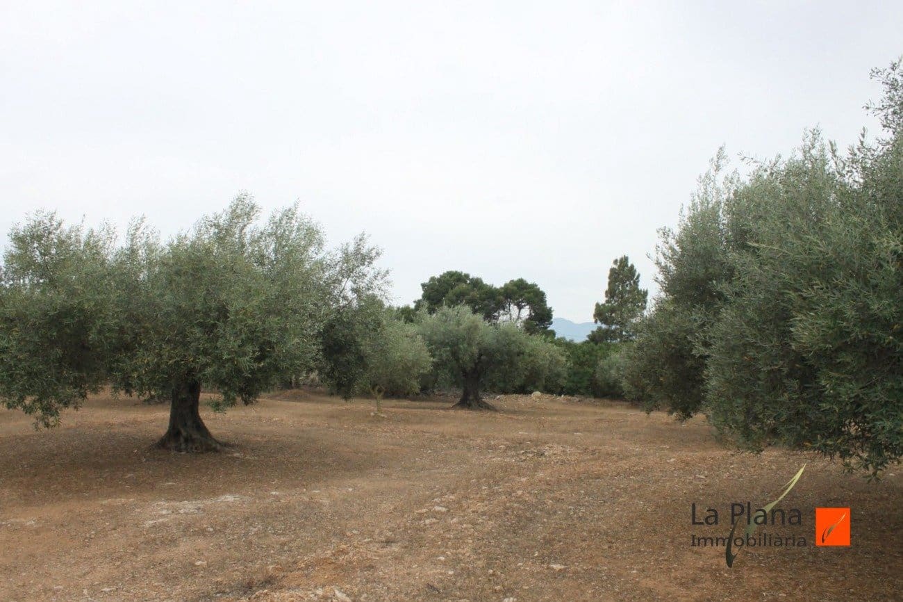 Finca/Landehus til salg i L'Aldea - € 125.000 (Ref: 7510503)