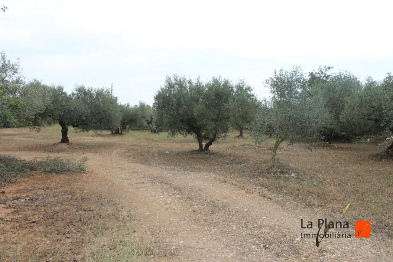 Finca/Landehus til salg i L'Aldea - € 125.000 (Ref: 7510503)