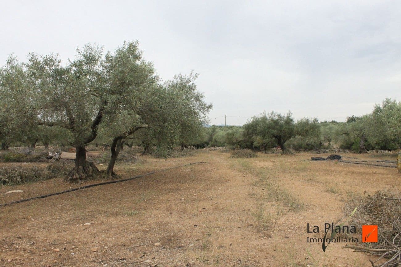 Finca/Landehus til salg i L'Aldea - € 125.000 (Ref: 7510503)