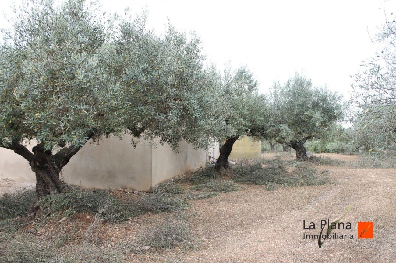 Finca/Landehus til salg i L'Aldea - € 125.000 (Ref: 7510503)