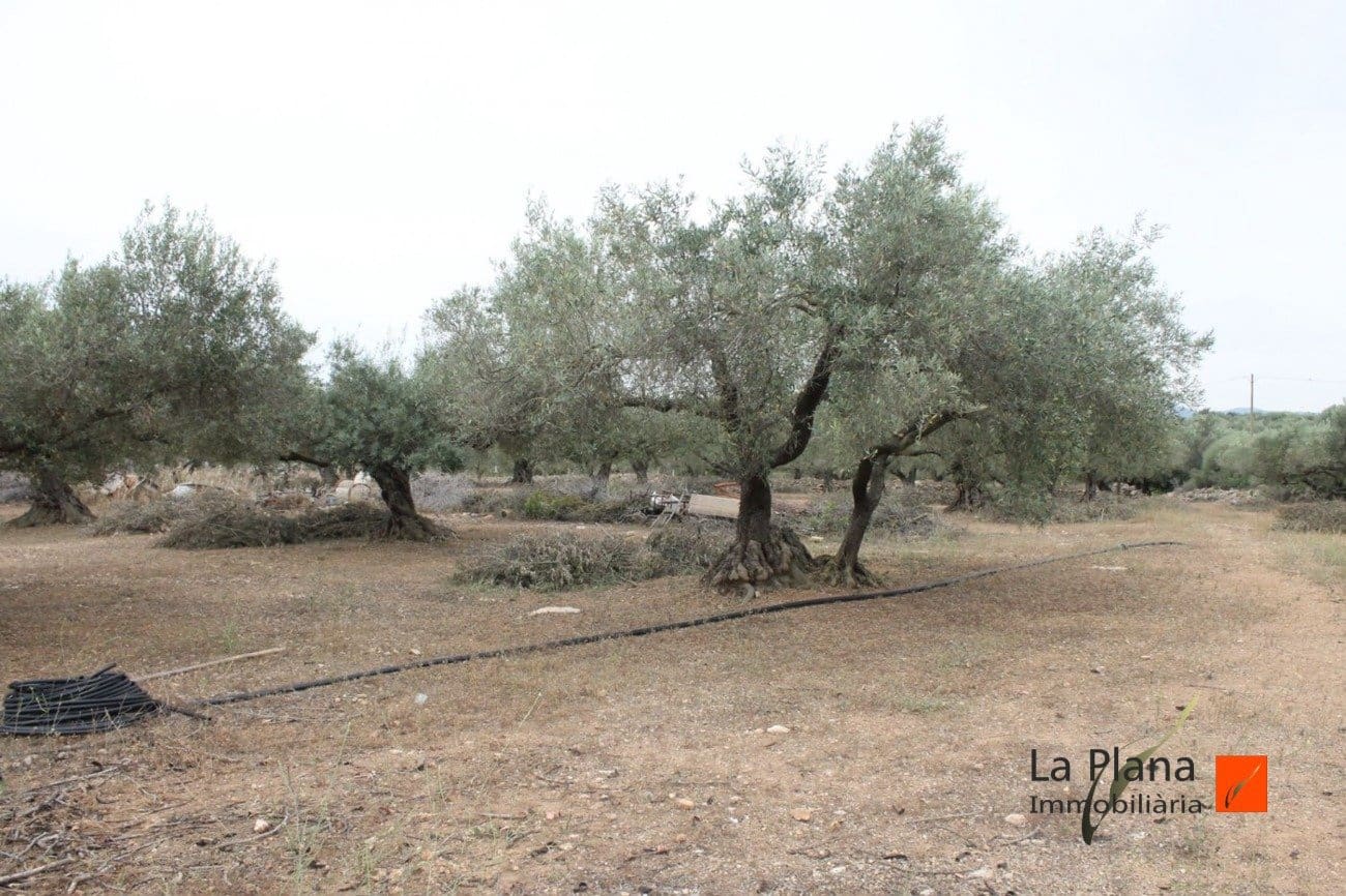 Finca/Landehus til salg i L'Aldea - € 125.000 (Ref: 7510503)