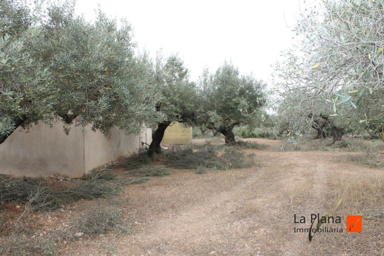 Finca/Landehus til salg i L'Aldea - € 125.000 (Ref: 7510503)