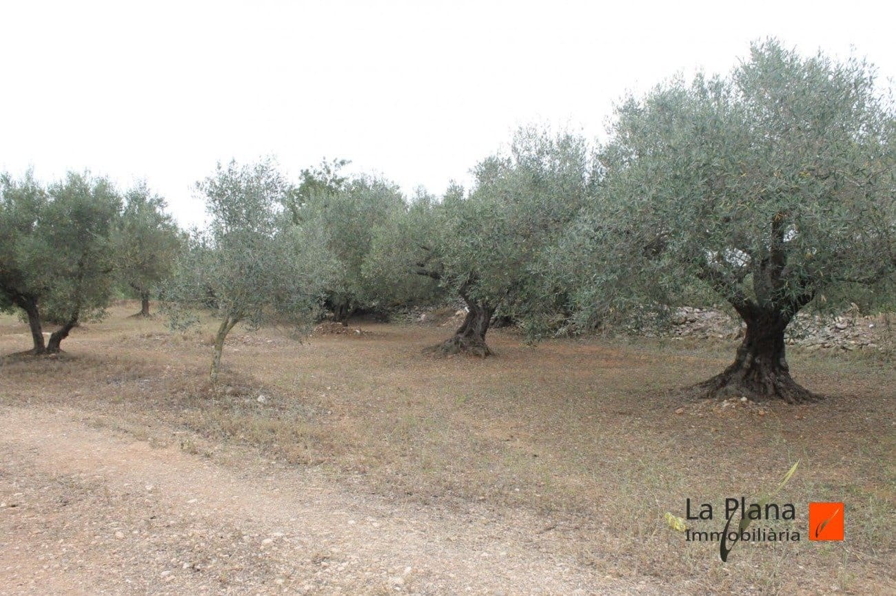 Finca/Landehus til salg i L'Aldea - € 125.000 (Ref: 7510503)