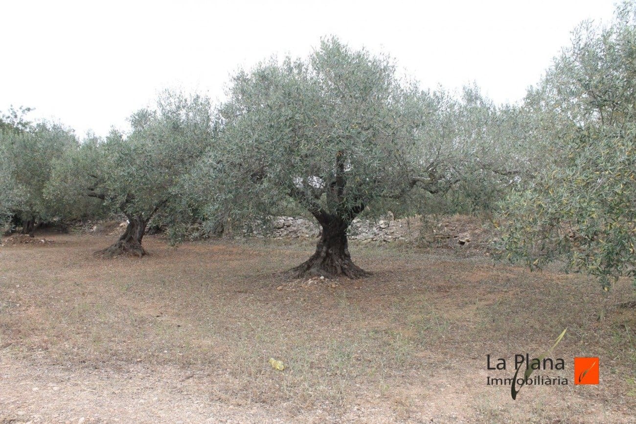 Finca/Landehus til salg i L'Aldea - € 125.000 (Ref: 7510503)