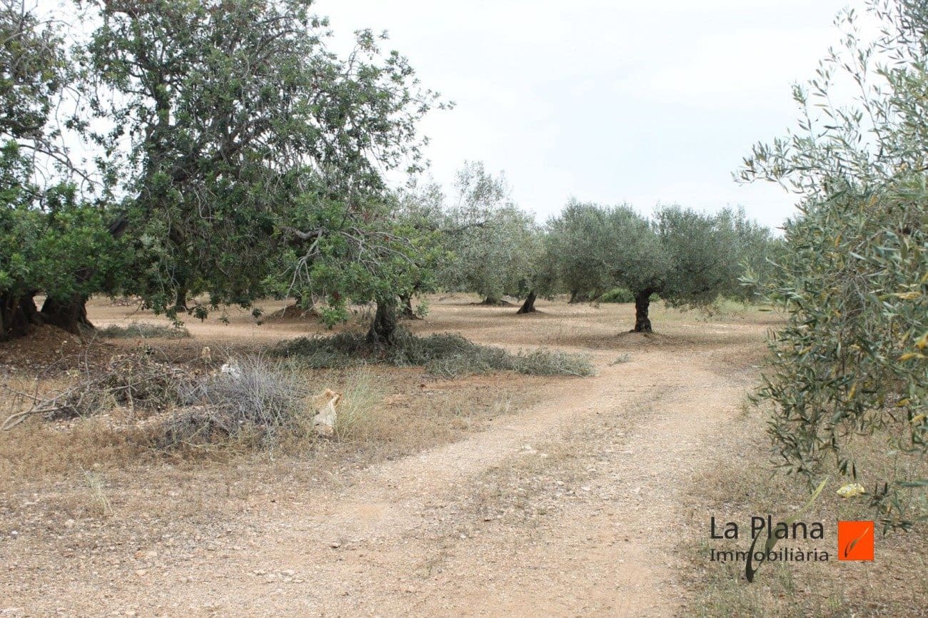 Finca/Landehus til salg i L'Aldea - € 125.000 (Ref: 7510503)