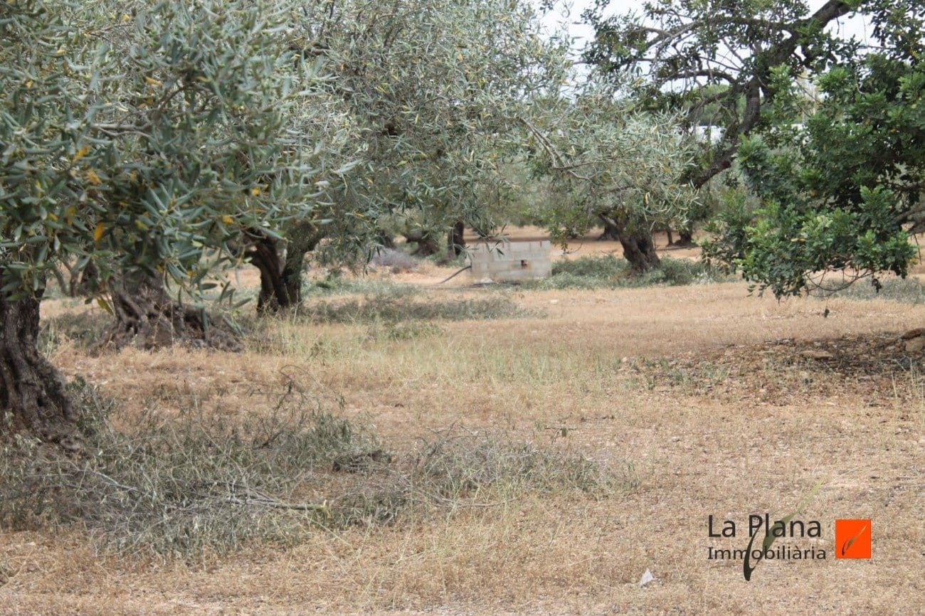 Finca/Landehus til salg i L'Aldea - € 125.000 (Ref: 7510503)