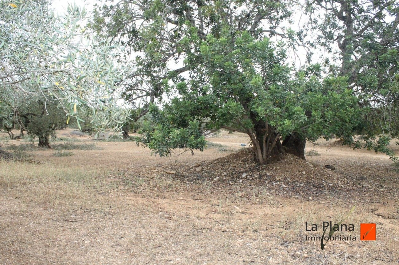 Finca/Landehus til salg i L'Aldea - € 125.000 (Ref: 7510503)